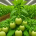 AgriGrow Organics Inc.