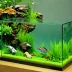 AquaClear Cast Acrylic