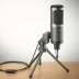 Audio-Technica AT2010