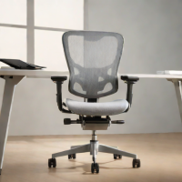 Autonomous ErgoChair Mesh