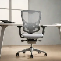 Autonomous ErgoChair Mesh