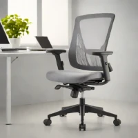 Amazon Basics Mesh Chair