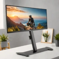 Amazon Basics Monitor Mount (Small Monitor Focus)