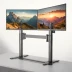 Amazon Basics Monitor Mount (Dual Monitor Mount)