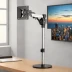 Amazon Basics Monitor Mount (Pole Mount)