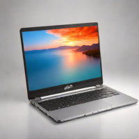 ASUS Chromebook Vibe CX55 Flip