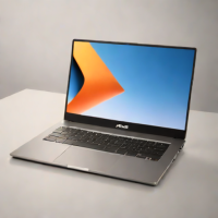 ASUS Vivobook OLED (Standard)