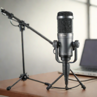 Audio-Technica AT2035