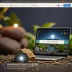 Amazon Basics Solar Powered Rock Lights
