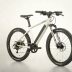 Aventon Pace 350