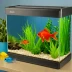 Aqueon NeoGlow 5-Gallon LED Aquarium Kit