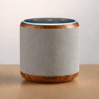 Amazon Echo Mini 4th Gen