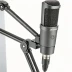 Audio-Technica AT875PS