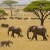 African Safari Journeys  Tanzania Northern Circuit