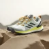 adidas Terrex Agravic Flow 2