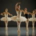 Allegro Brillante