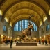 American Museum of Natural History