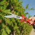 ARS HP-VS8Z Signature Heavy Duty Pruner