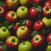 Apples Never Fall