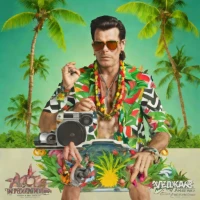 Ace Ventura - Paradise Engineering