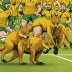 Australia Wallabies