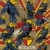 Adelaide Crows