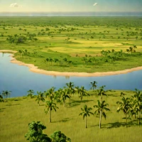 Amapá Savanna