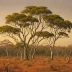 Arnhem Land Savanna
