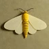 Agreeable tiger moth