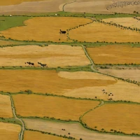 Anatolian Steppe