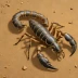 Androctonus amoreuxi