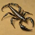 Androctonus finitimus