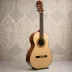 Alhambra Luthier Exquisia Flamenca