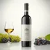 Artadi Viña El Pisón