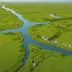 Anadyr Lowland Tundra