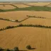 Apulian Plain (Tavoliere)