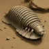 Archaeogonus