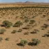 Andesite Mountain Bushveld