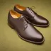 Alden Plain Toe Derby