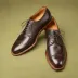 Alden Longwing Blucher Derby