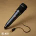 AKG P170