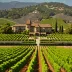 Araujo Estate (now Eisele Vineyard)