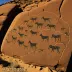 Augrabies Petroglyphs
