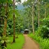 Alto Fragua-Indiwasi National Park