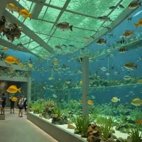 Aquarium of Cattolica