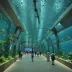 Antalya Aquarium
