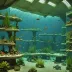 Acuario Nacional Cuba
