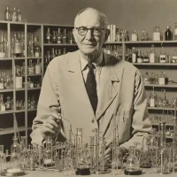 Albert Cotton
