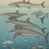Andrews' Beaked Whale