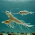 Antarctic Glass Squid (Galiteuthis glacialis)